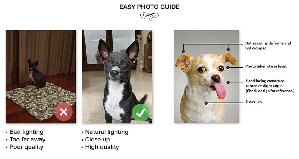 Ham Sosage - Hans Solo & Star Wars Inspired Custom Pet Portrait Canvas