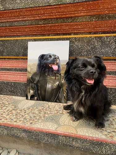 Ham Sosage - Hans Solo & Star Wars Inspired Custom Pet Portrait Canvas