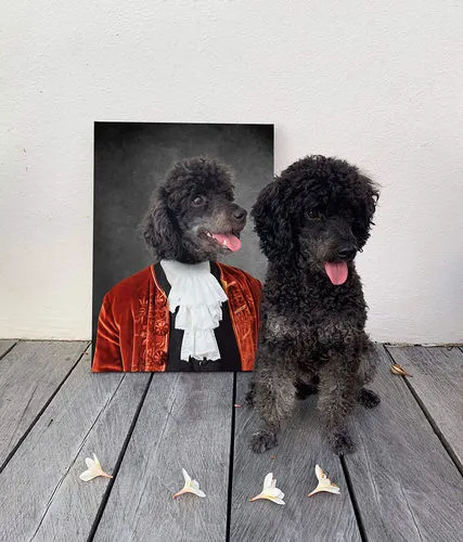 Ham Sosage - Hans Solo & Star Wars Inspired Custom Pet Portrait Canvas