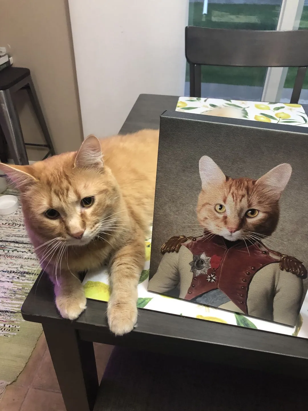 Ham Sosage - Hans Solo & Star Wars Inspired Custom Pet Portrait Canvas